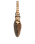 Oyster, bottom view